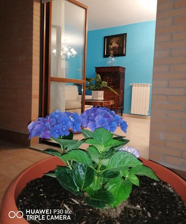 B&Byanet'S Beautiful House Civitavecchia Buitenkant foto