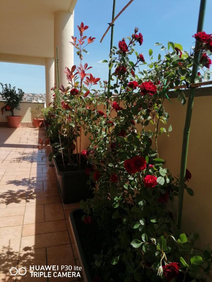 B&Byanet'S Beautiful House Civitavecchia Buitenkant foto